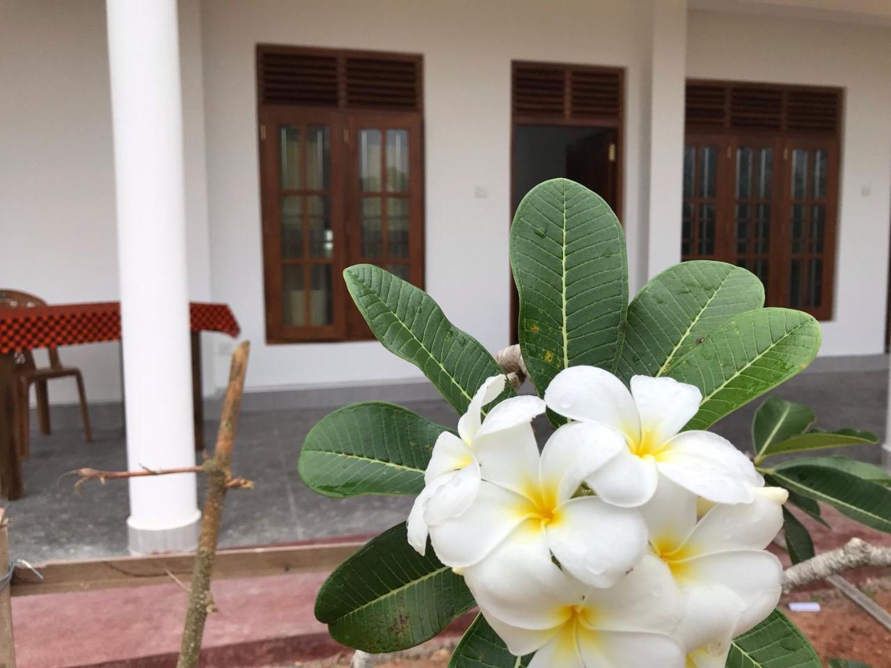 Thotupola Villa - ميريسا المظهر الخارجي الصورة